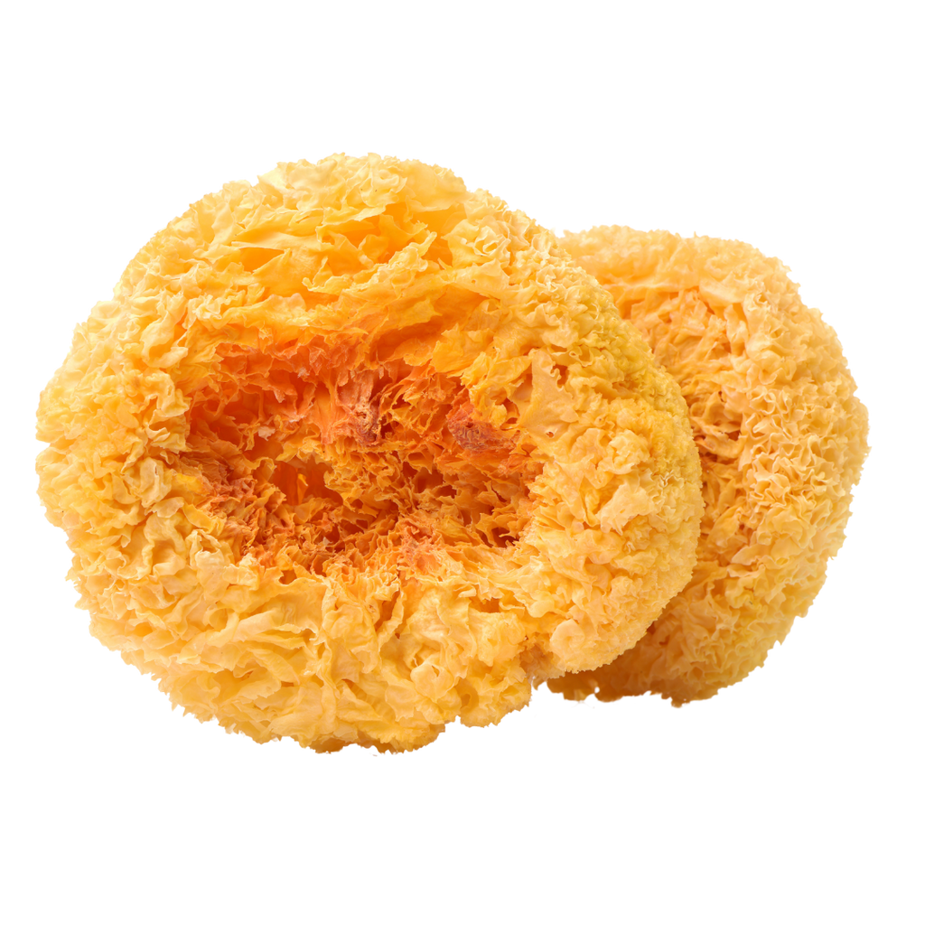 Tremella